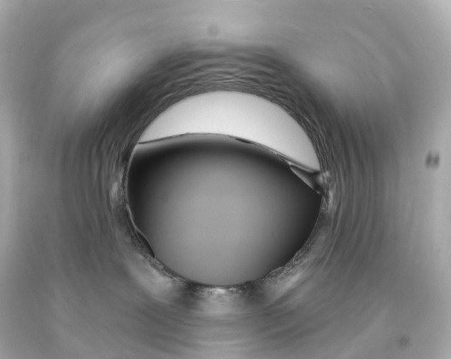 X0000093090239200710241207