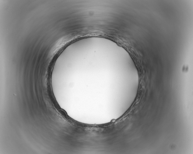 X0000093090242200710241206