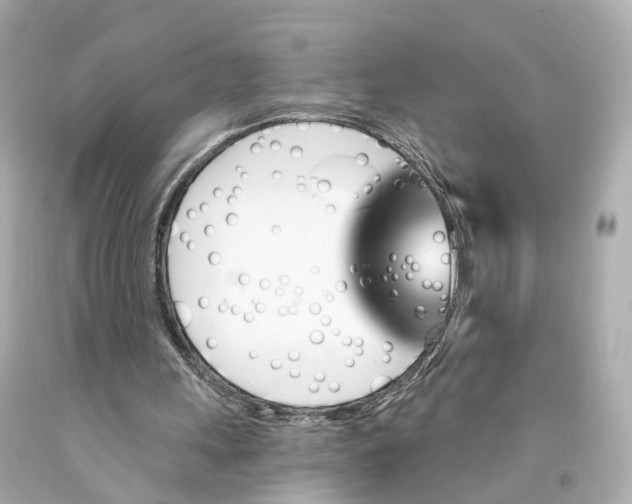 X0000093090243200710241206