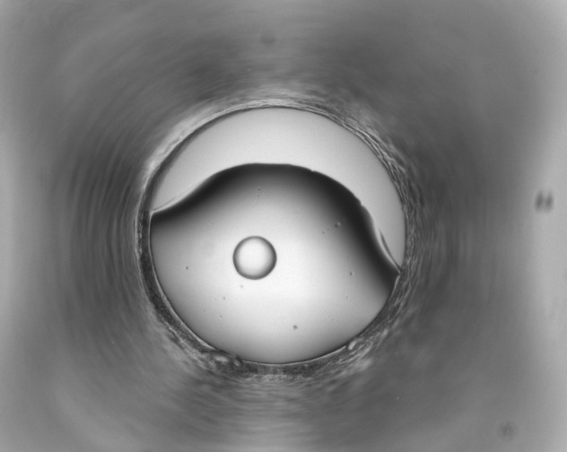 X0000093090244200710241206