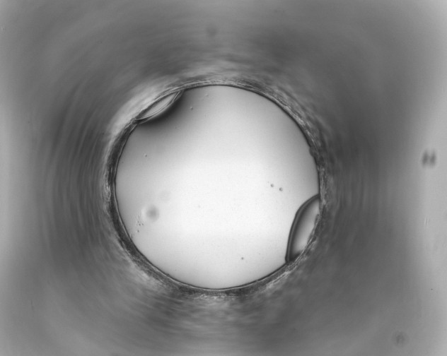 X0000093090245200710241206