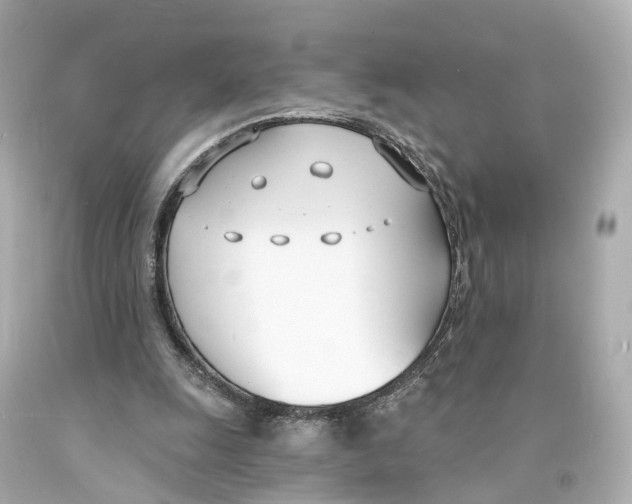 X0000093090247200710241206