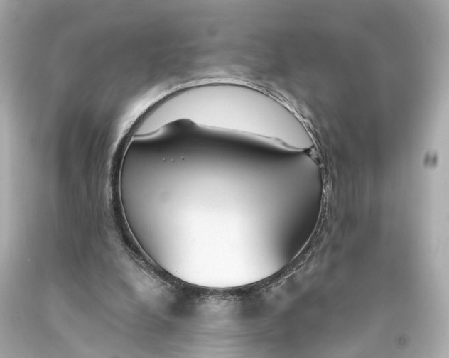 X0000093090248200710241206