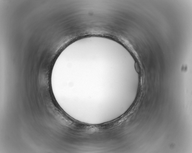 X0000093090249200710241206