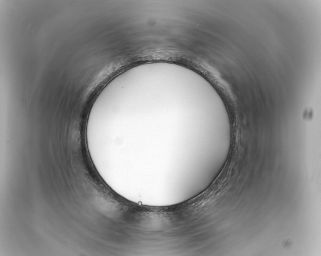 X0000093090250200710241206