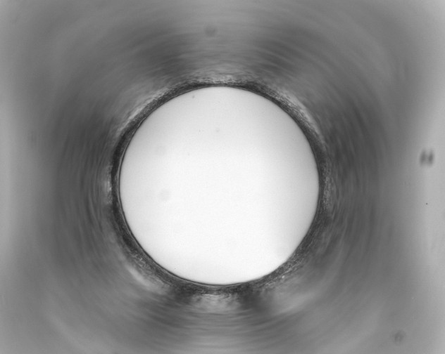 X0000093090251200710241206