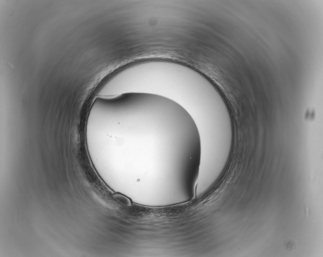 X0000093090252200710241206
