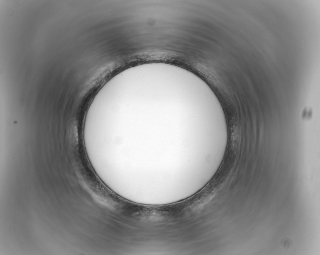 X0000093090254200710241206