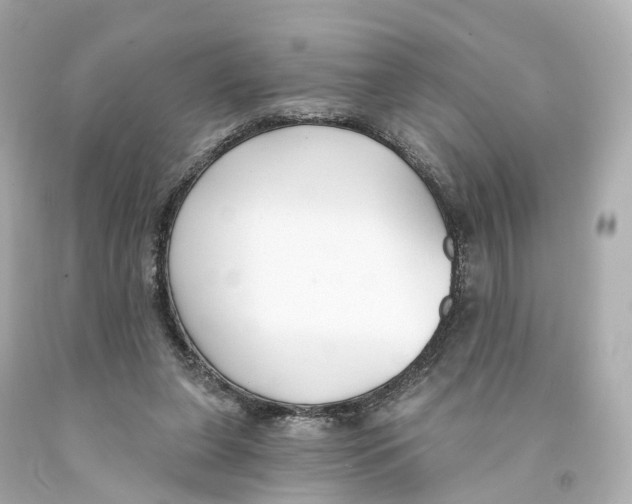 X0000093090255200710241206