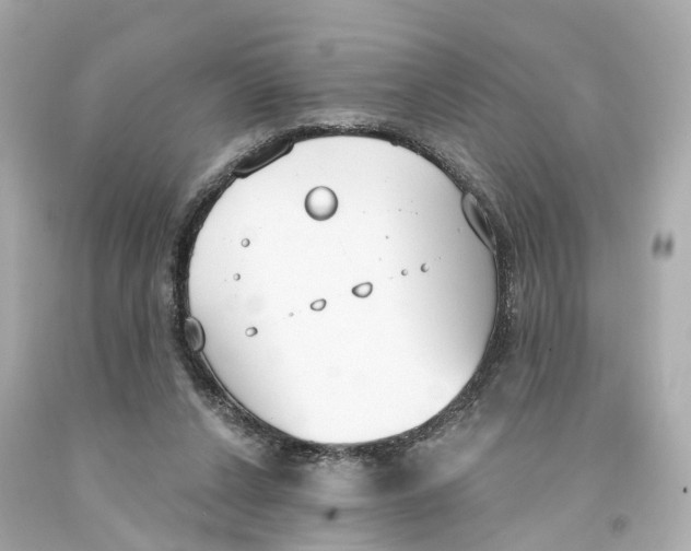 X0000093090256200710241206