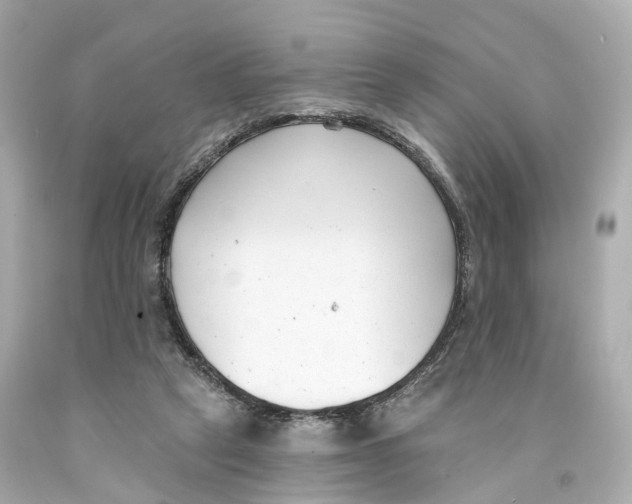X0000093090257200710241206
