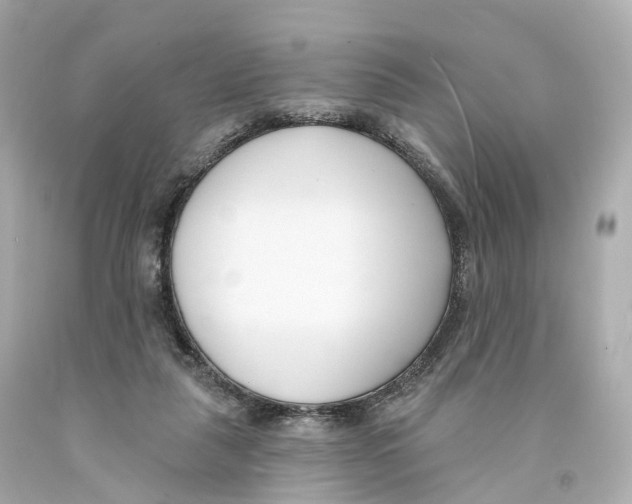X0000093090259200710241206