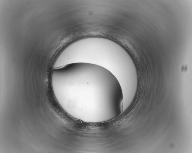 X0000093090260200710241206