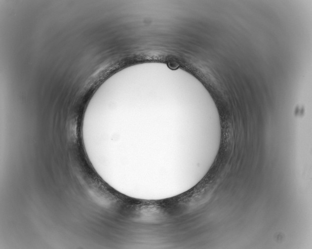 X0000093090262200710241206