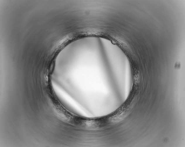X0000093090264200710241206