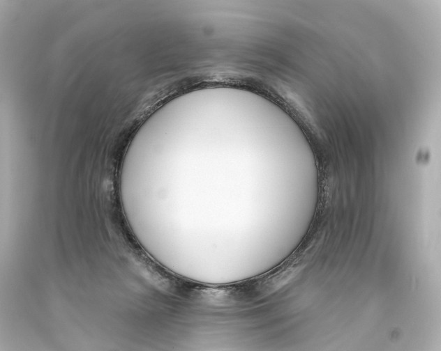 X0000093090265200710241206