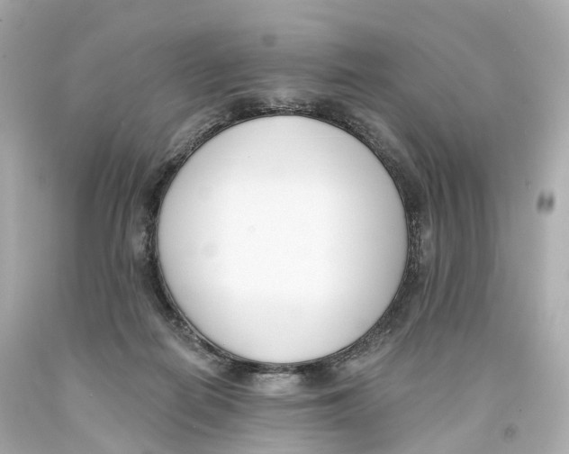X0000093090266200710241206