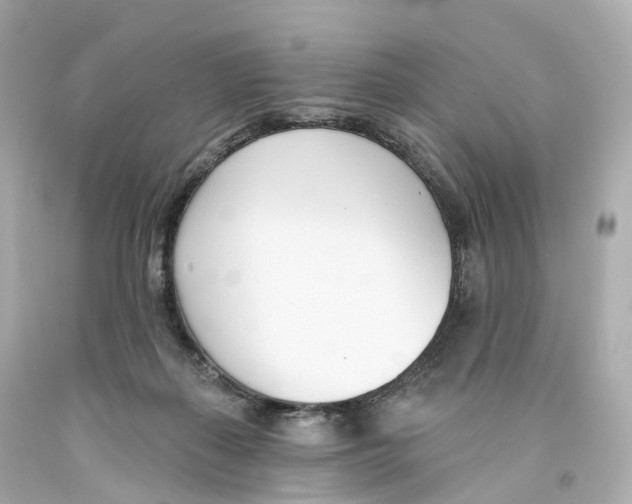 X0000093090267200710241206