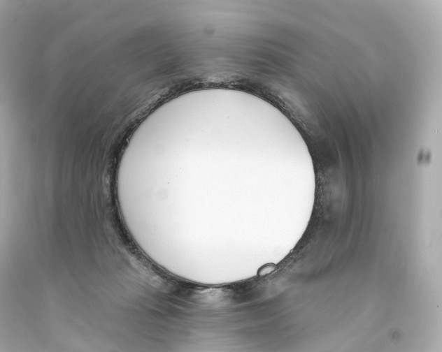 X0000093090269200710241206