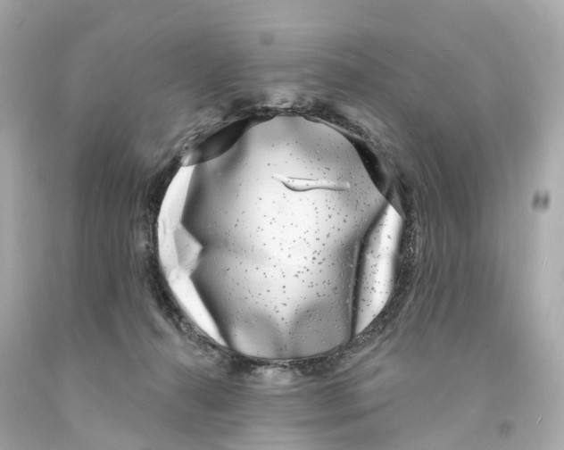X0000093090272200710241206
