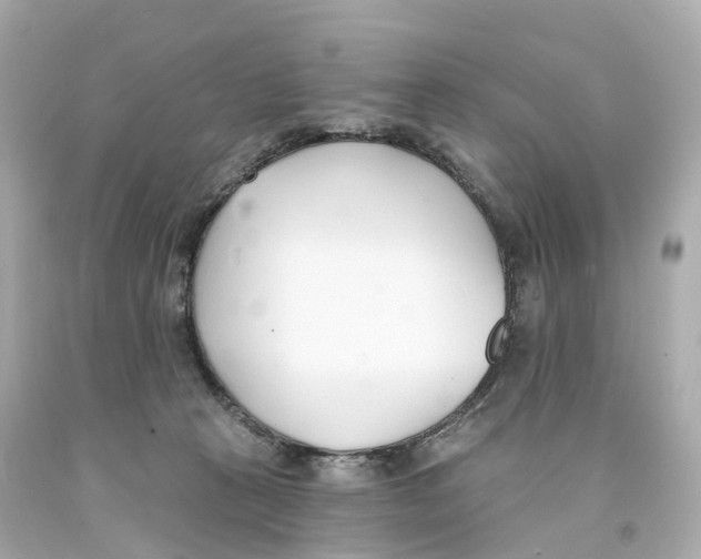 X0000093090273200710241206
