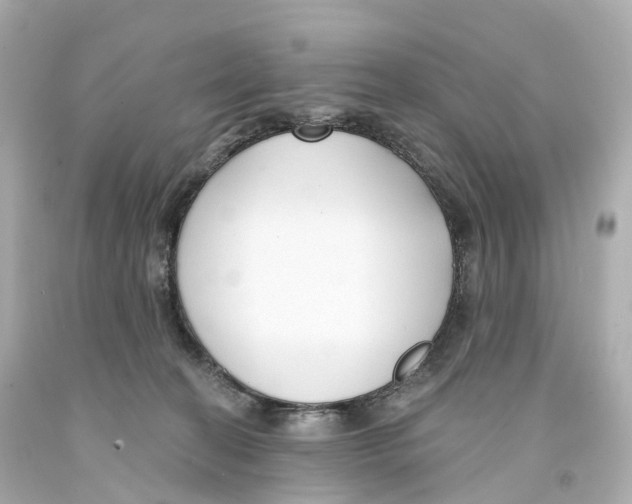 X0000093090274200710241206