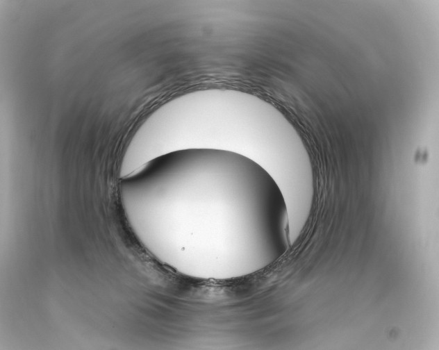 X0000093090276200710241206
