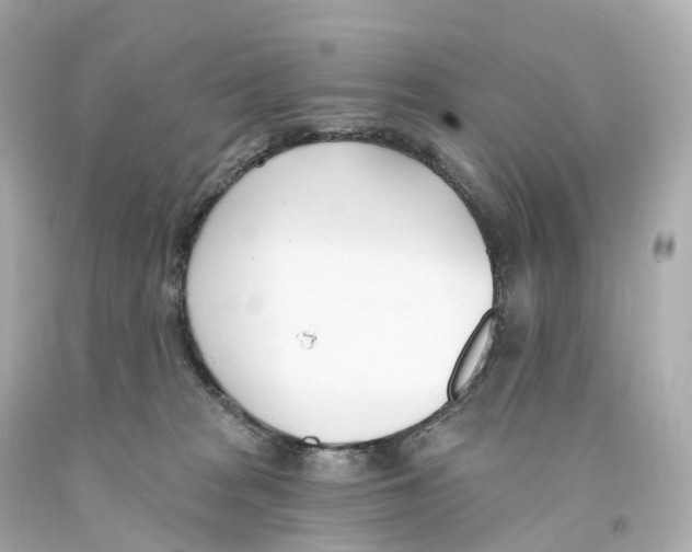 X0000093090277200710241206