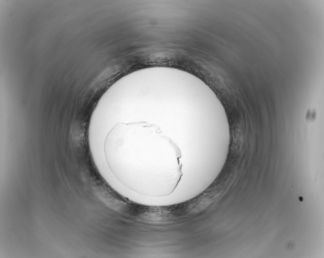 X0000093090278200710241206