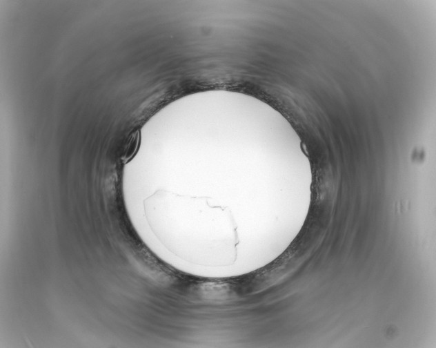 X0000093090279200710241206