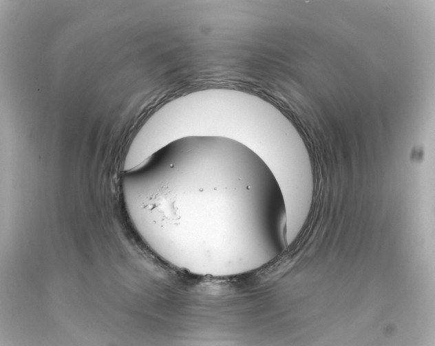 X0000093090280200710241206
