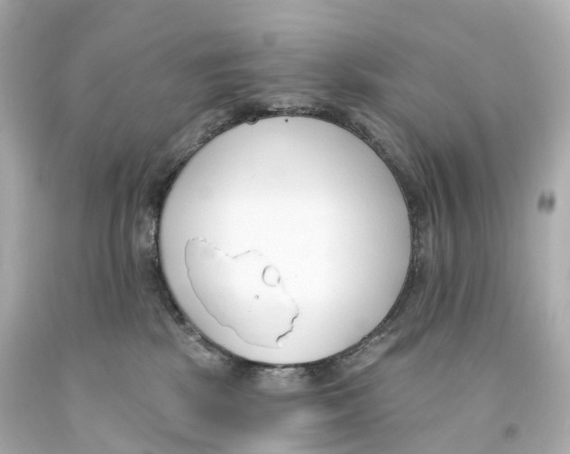 X0000093090281200710241206