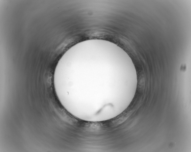 X0000093090282200710241206