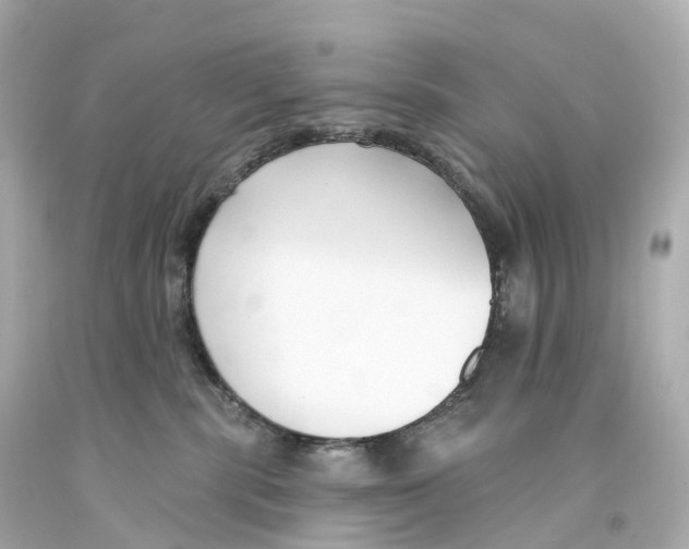 X0000093090283200710241207