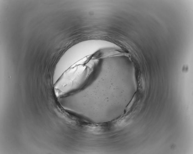 X0000093090284200710241207
