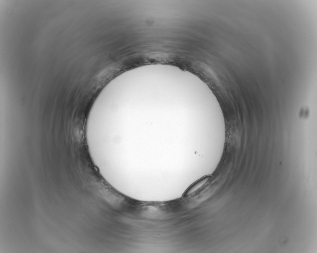 X0000093090285200710241207