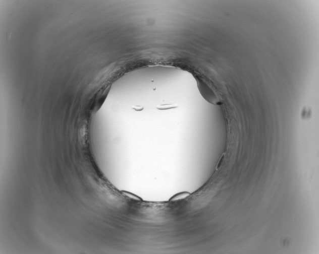 X0000093090288200710241207