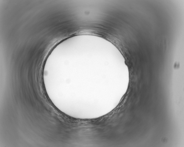 X0000093090289200710241206