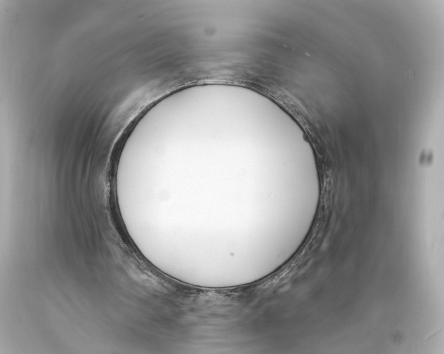 X0000093090290200710241206