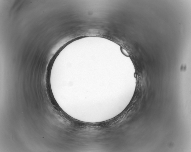 X0000093090292200710241206