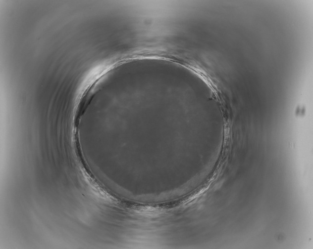 X0000093090293200710241206