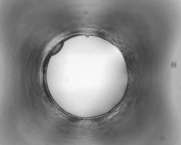 X0000093090294200710241206