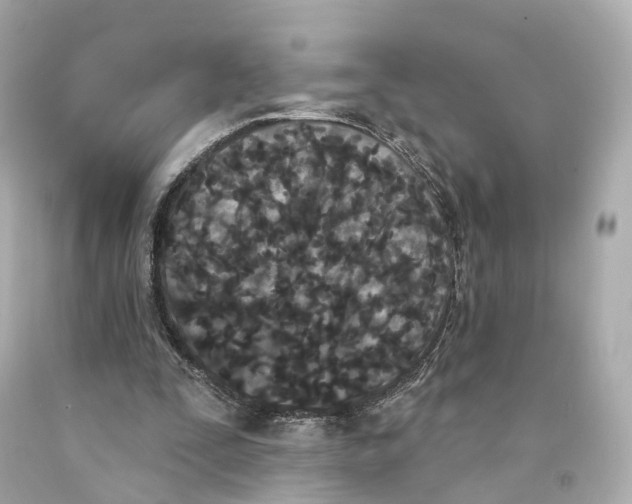 X0000093090295200710241206