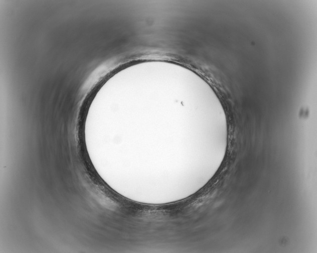 X0000093090296200710241206