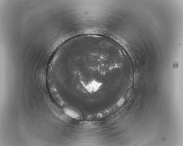 X0000093090297200710241206