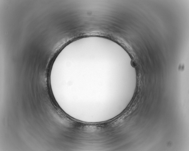 X0000093090298200710241206