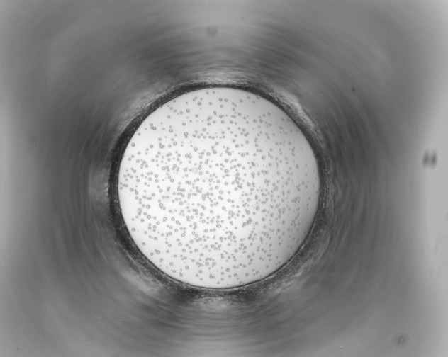 X0000093090299200710241206