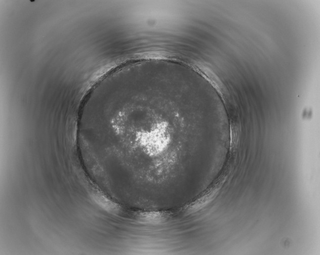 X0000093090301200710241206