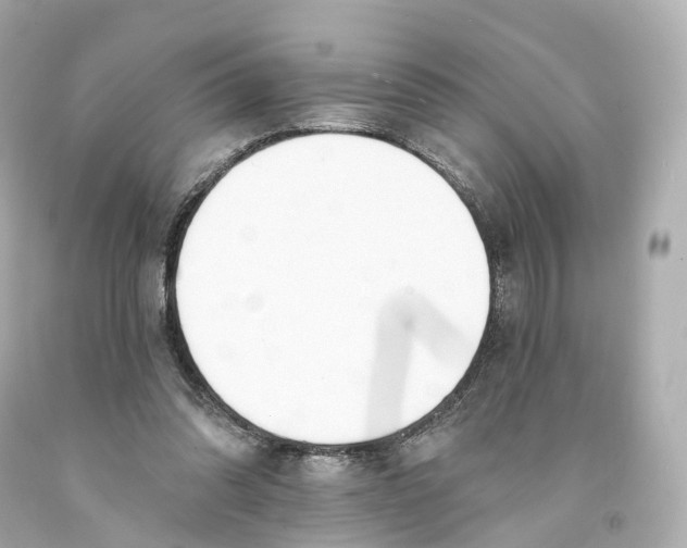 X0000093090302200710241206