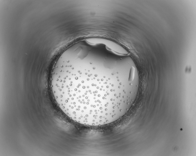 X0000093090303200710241206
